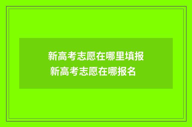 新高考志愿在哪里填报 新高考志愿在哪报名