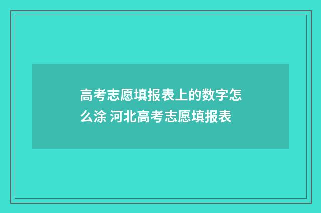 高考志愿填报表上的数字怎么涂 河北高考志愿填报表