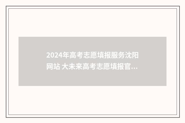 2024年高考志愿填报服务沈阳网站 大未来高考志愿填报官网