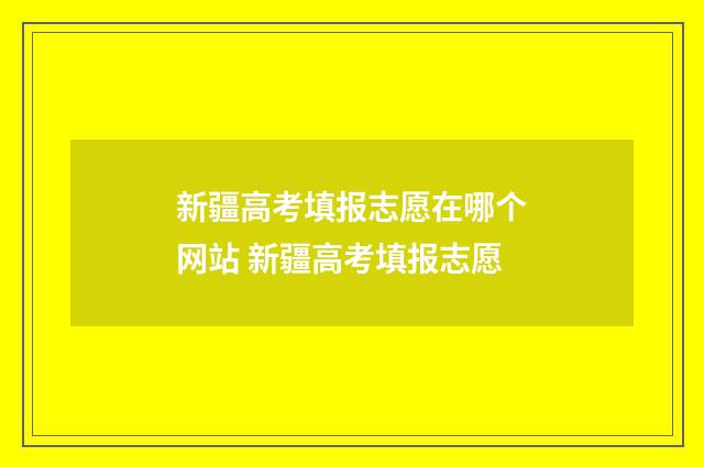 新疆高考填报志愿在哪个网站 新疆高考填报志愿