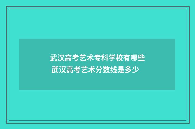 武汉高考艺术专科学校有哪些 武汉高考艺术分数线是多少