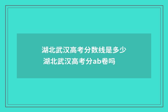 湖北武汉高考分数线是多少 湖北武汉高考分ab卷吗
