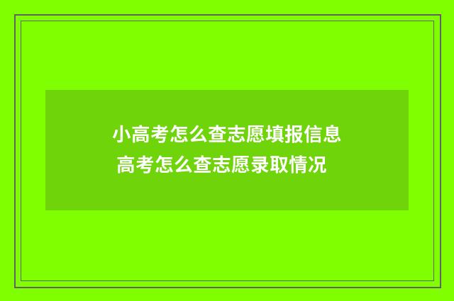 小高考怎么查志愿填报信息 高考怎么查志愿录取情况