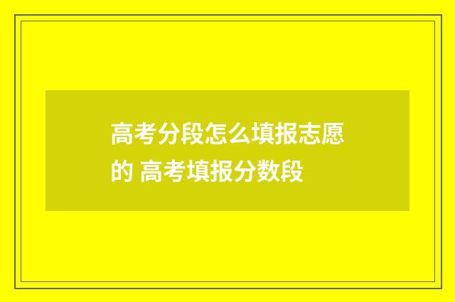 高考分段怎么填报志愿的 高考填报分数段