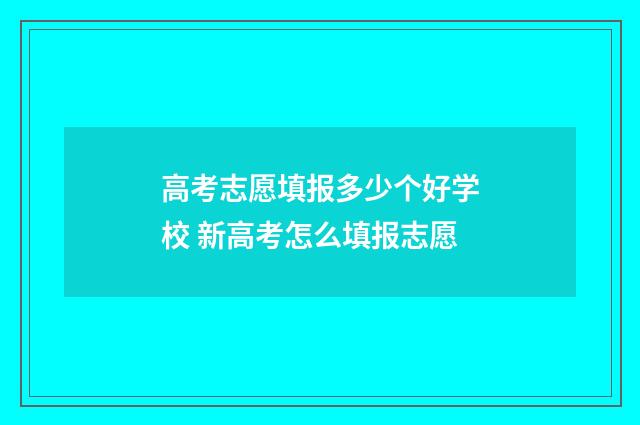 高考志愿填报多少个好学校 新高考怎么填报志愿