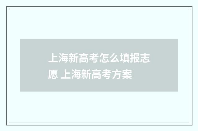 上海新高考怎么填报志愿 上海新高考方案