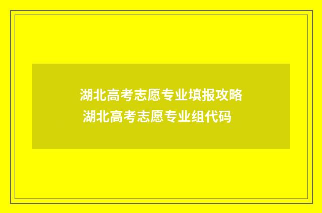 湖北高考志愿专业填报攻略 湖北高考志愿专业组代码