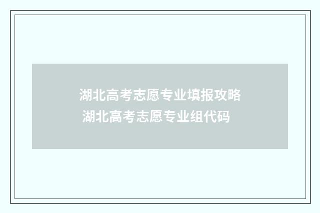 湖北高考志愿专业填报攻略 湖北高考志愿专业组代码