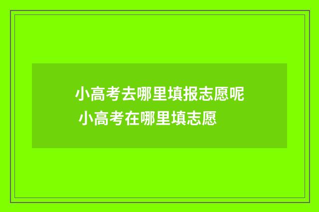 小高考去哪里填报志愿呢 小高考在哪里填志愿