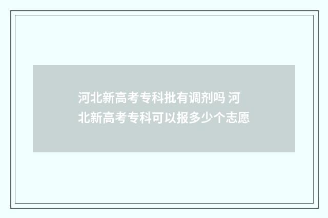 河北新高考专科批有调剂吗 河北新高考专科可以报多少个志愿