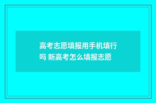 高考志愿填报用手机填行吗 新高考怎么填报志愿