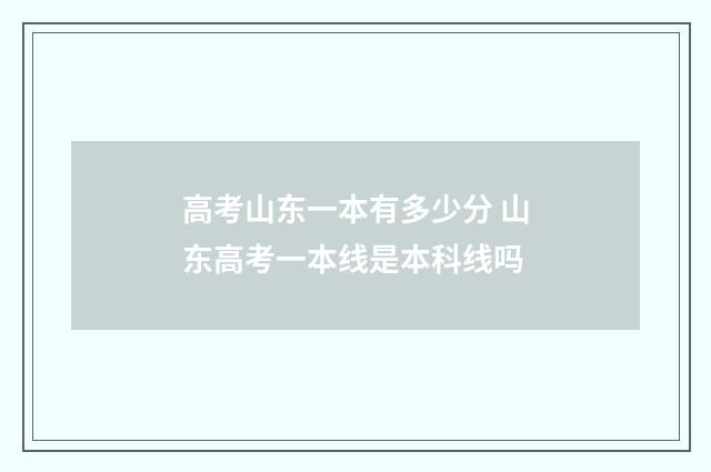 高考山东一本有多少分 山东高考一本线是本科线吗