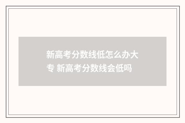 新高考分数线低怎么办大专 新高考分数线会低吗