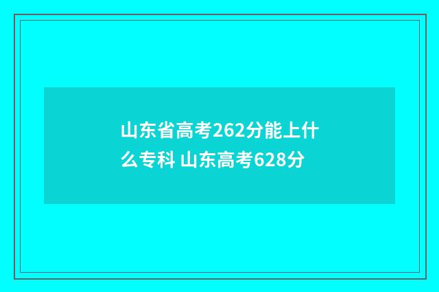 山东省高考262分能上什么专科 山东高考628分