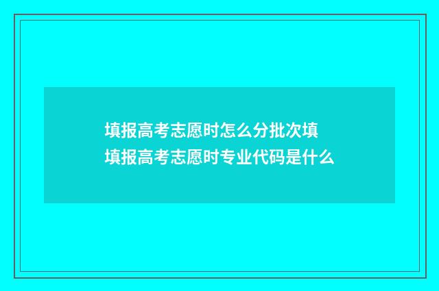 填报高考志愿时怎么分批次填 填报高考志愿时专业代码是什么