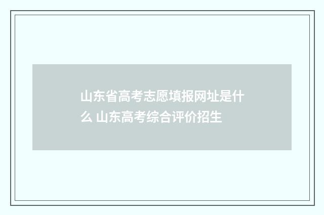 山东省高考志愿填报网址是什么 山东高考综合评价招生