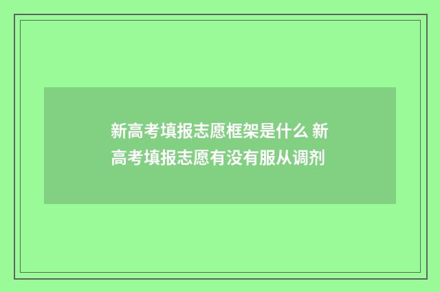 新高考填报志愿框架是什么 新高考填报志愿有没有服从调剂