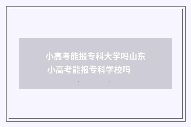 小高考能报专科大学吗山东 小高考能报专科学校吗
