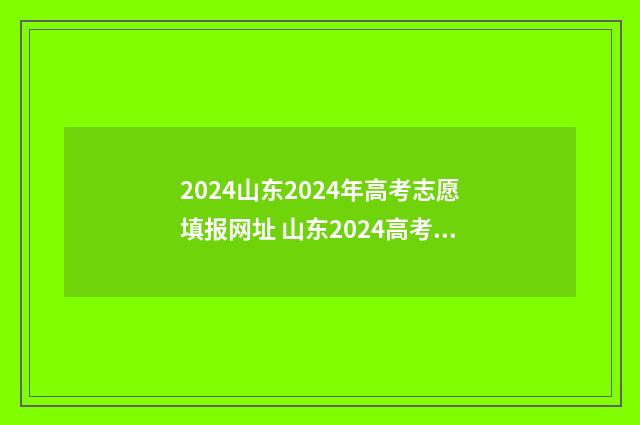 2024山东2024年高考志愿填报网址 山东2024高考分数线