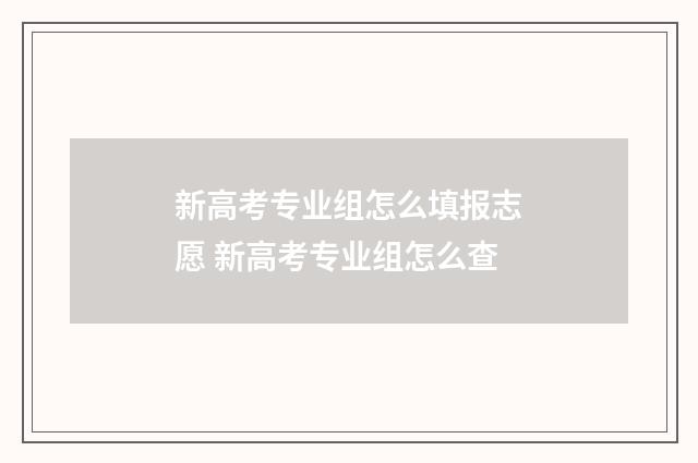 新高考专业组怎么填报志愿 新高考专业组怎么查