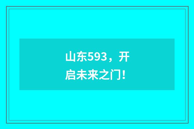 山东593,开启未来之门!