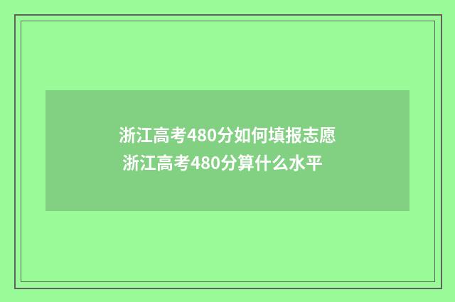 浙江高考480分如何填报志愿 浙江高考480分算什么水平