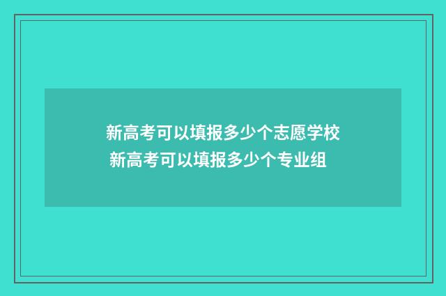 新高考可以填报多少个志愿学校 新高考可以填报多少个专业组