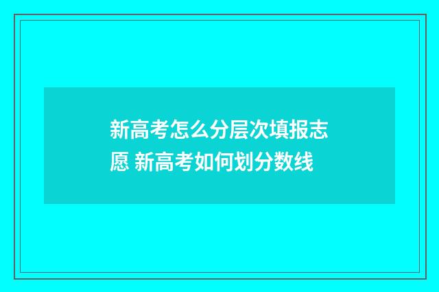 新高考怎么分层次填报志愿 新高考如何划分数线