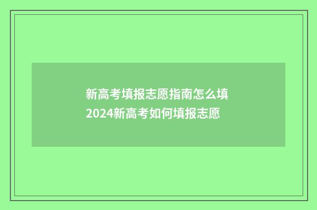 新高考填报志愿指南怎么填 2024新高考如何填报志愿