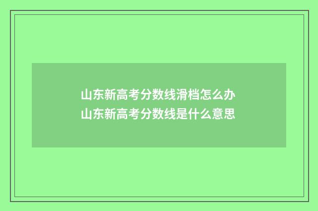 山东新高考分数线滑档怎么办 山东新高考分数线是什么意思