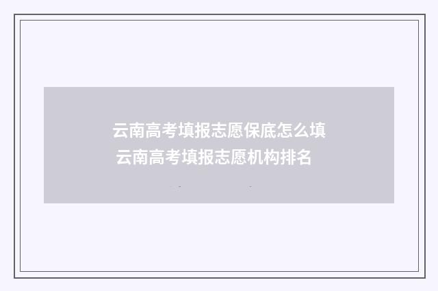 云南高考填报志愿保底怎么填 云南高考填报志愿机构排名