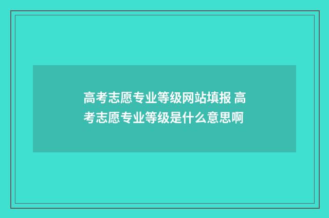 高考志愿专业等级网站填报 高考志愿专业等级是什么意思啊