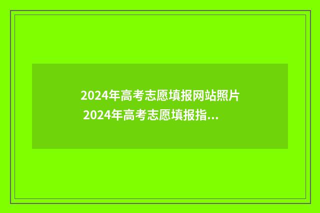 2024年高考志愿填报网站照片 2024年高考志愿填报指南电子版
