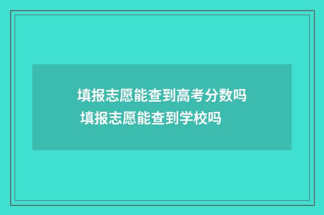 填报志愿能查到高考分数吗 填报志愿能查到学校吗
