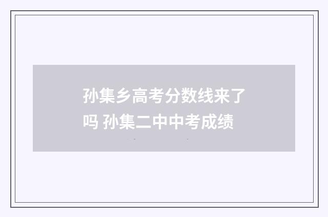 孙集乡高考分数线来了吗 孙集二中中考成绩