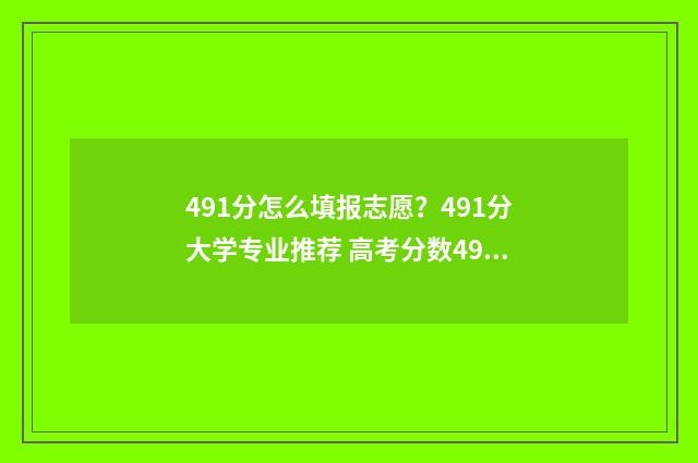 491分怎么填报志愿?491分大学专业推荐 高考分数491报哪几个