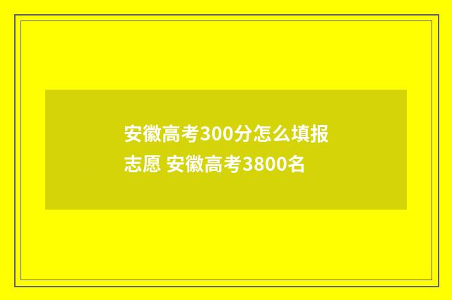 安徽高考300分怎么填报志愿 安徽高考3800名