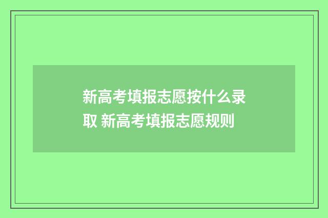 新高考填报志愿按什么录取 新高考填报志愿规则