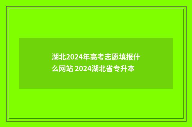 湖北2024年高考志愿填报什么网站 2024湖北省专升本