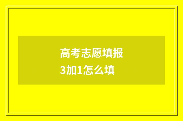 高考志愿填报3加1怎么填