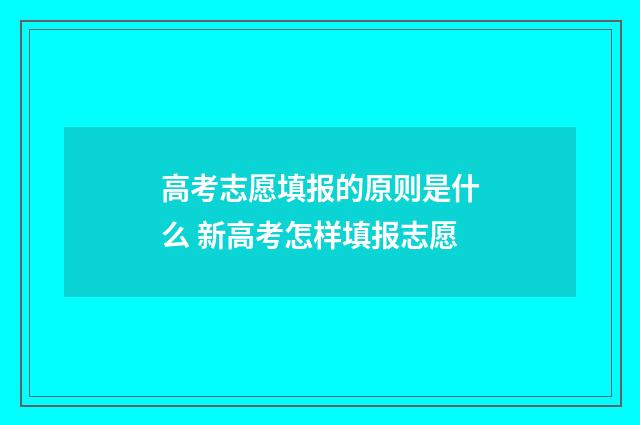 高考志愿填报的原则是什么 新高考怎样填报志愿