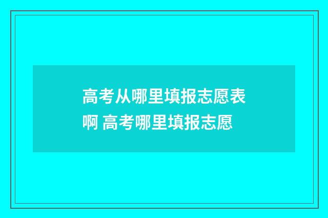 高考从哪里填报志愿表啊 高考哪里填报志愿