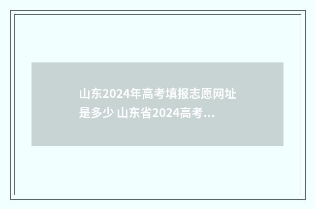 山东2024年高考填报志愿网址是多少 山东省2024高考报名网站入口官网