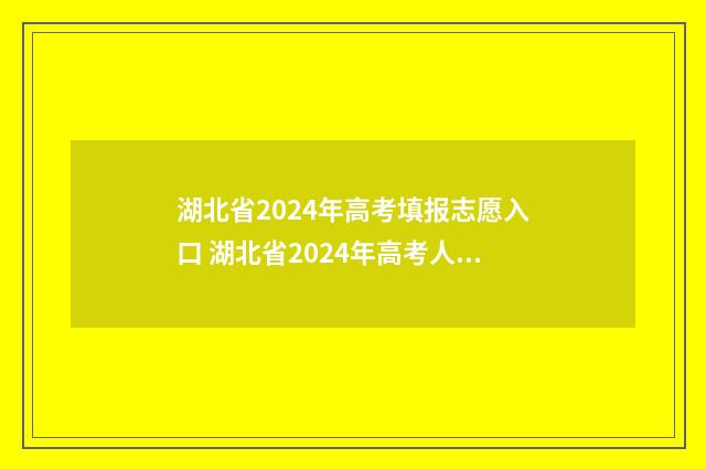 湖北省2024年高考填报志愿入口 湖北省2024年高考人数