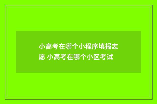 小高考在哪个小程序填报志愿 小高考在哪个小区考试