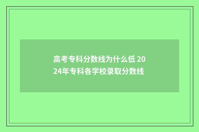 高考专科分数线为什么低 2024年专科各学校录取分数线