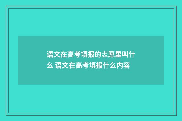 语文在高考填报的志愿里叫什么 语文在高考填报什么内容
