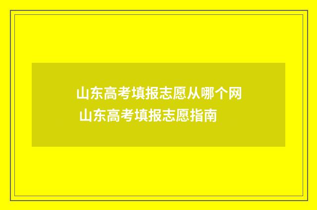 山东高考填报志愿从哪个网 山东高考填报志愿指南