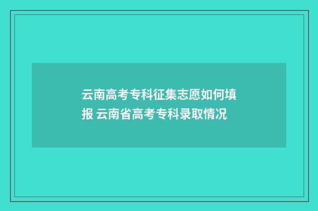 云南高考专科征集志愿如何填报 云南省高考专科录取情况