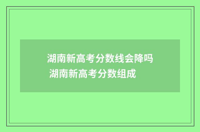 湖南新高考分数线会降吗 湖南新高考分数组成